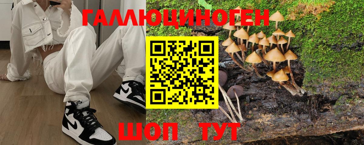 Псилоцибиновые грибы Psilocybine cubensis Чайковский