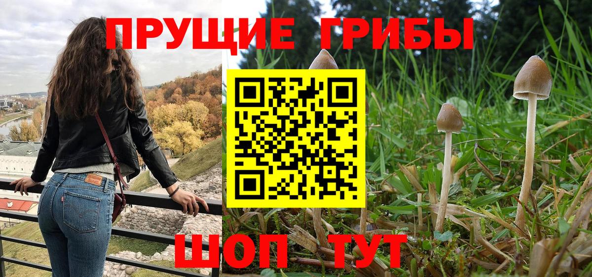 Галлюциногенные грибы Psilocybine cubensis  Вход с VPN  Галлюциногенные грибы мицелий  Чайковский 